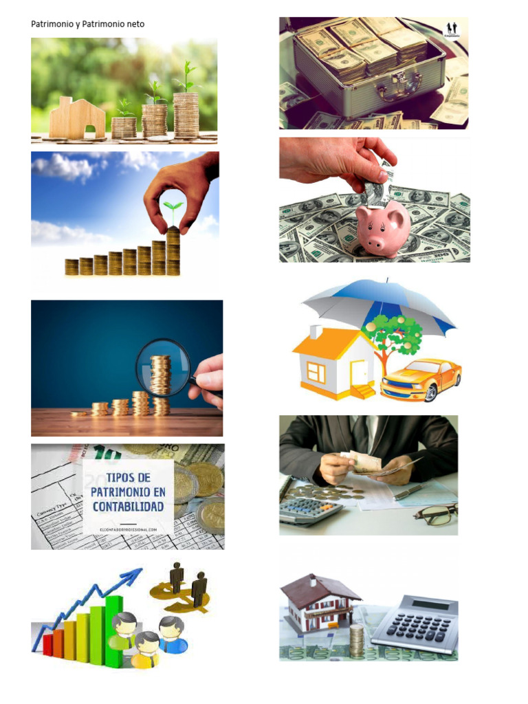 Patrimonio y Patrimonio Neto | PDF