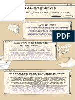 Infografía Proyecto de Investigación Outline Monocromático Marrón