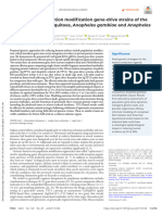 Dual Effector Population Modification Gene-Drive Strains of The African Malaria Mosquitoes, Anopheles Gambiae and Anopheles Coluzzii