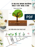Bài 4-1 Rễ cây-DA20