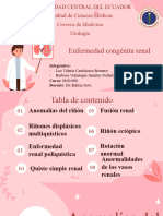 Enfermedad Congénita Renal