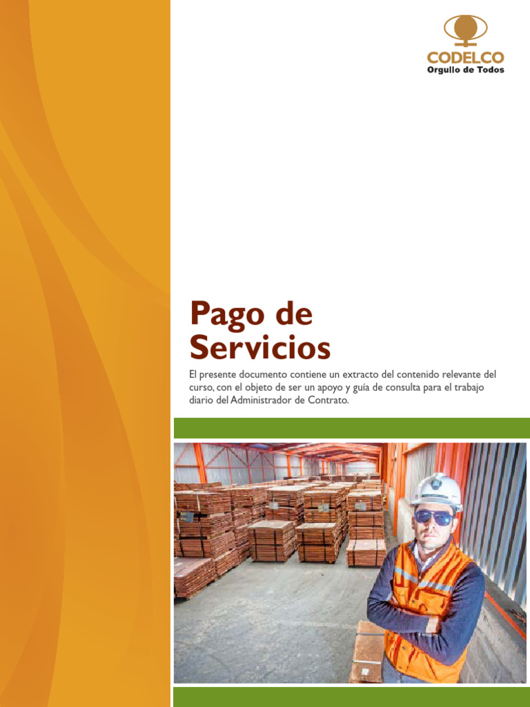 PAGO DE SERVICIOS visual data 2