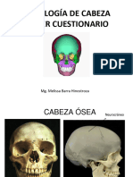 Anatomia de La Cabeza Parte 1