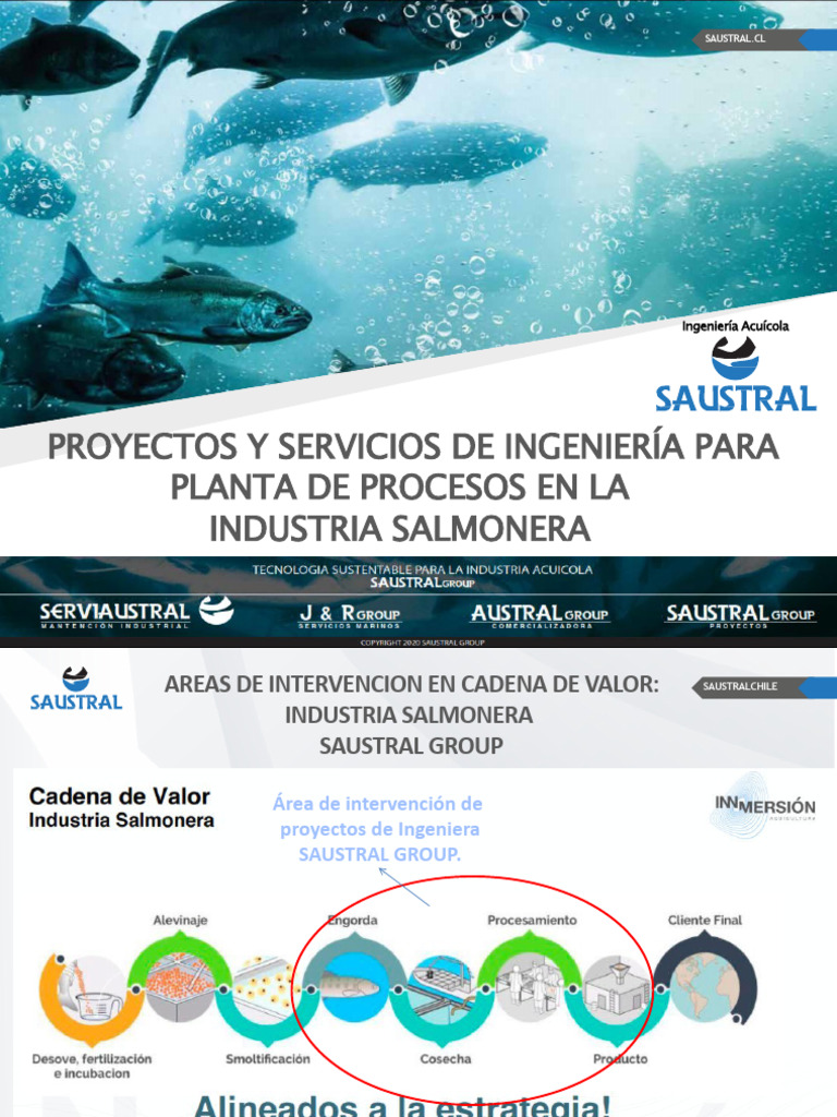 PROYECTOS DE INGENIERA SAUSTRAL Agosto 22 Rev01 | PDF | Ingeniería | Agua
