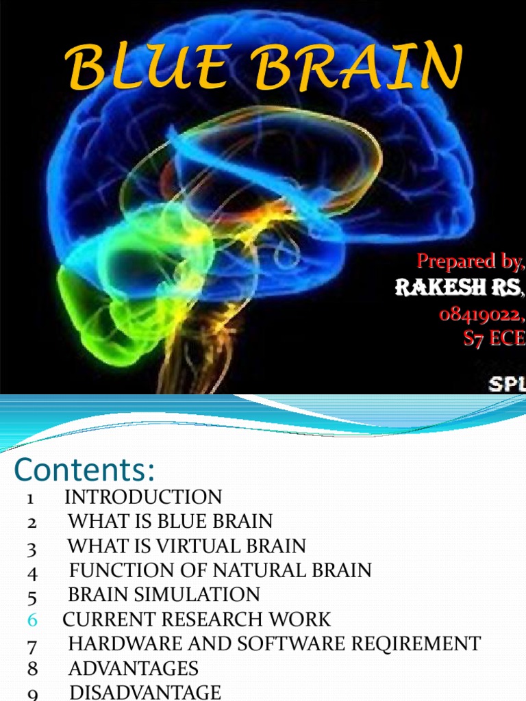 Blue Brain Seminar | PDF | Brain | Simulation