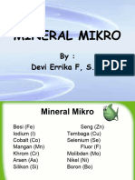 Mineral Mikro