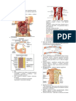 III Prova de Anatomia - 231106 - 132628