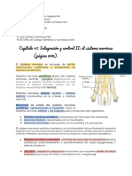 Apunte Bases Biológicas de Las Conducta