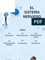 El Sistema Nervioso