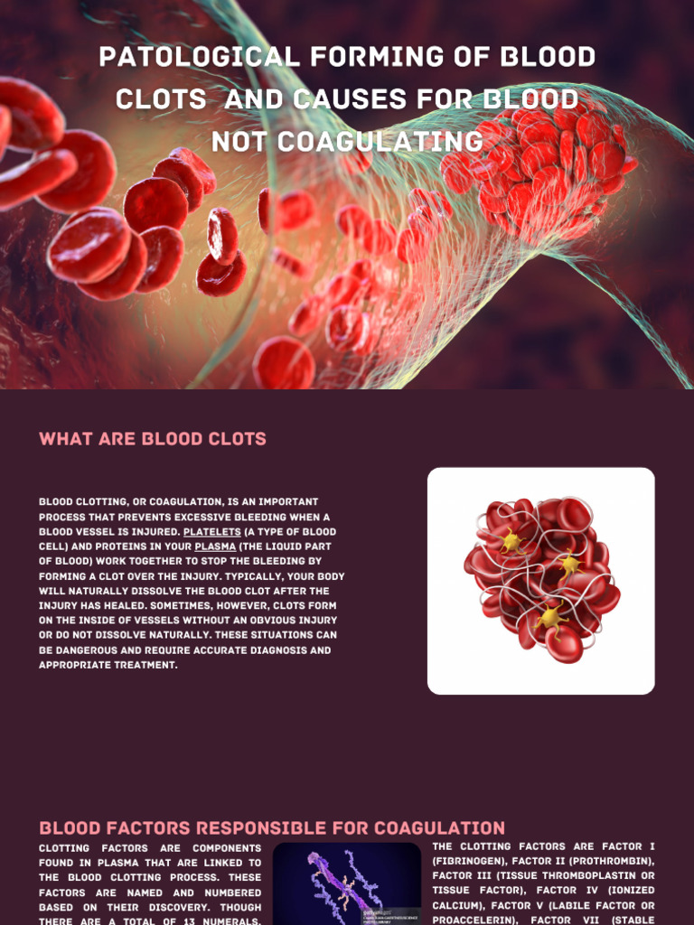 Patological Forming of Blood Clots PDF Haemophilia Bleeding
