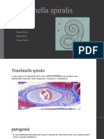 Trichinella Spiralis PDF