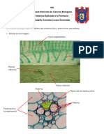 Evaluacion Continua de Tejidos Conductores-Botanica Aplicada A La Farmacia