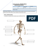 Evaluacion Ciencias Naturales Huesos