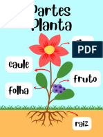 Partes Da Planta 1