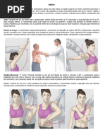 Teste de Neer: Avaliação do Ombro | PDF | Dor | Movimentos anatômicos
