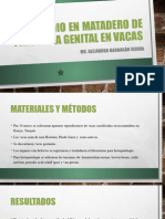 5 - Un Estudio en Matadero de Patología Genital en Vacas