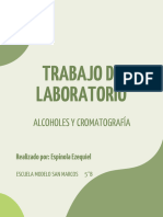 TP Cromatografi y Alcoholes