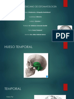Hueso Temporal PDF