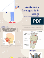 1.-Anatomia y Fisiologia de Laringe COMPLETO