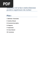 Anatomie et Fractures du Rocher | PDF | Tête et cou chez l'humain ...