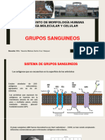 Grupos Sanguineos