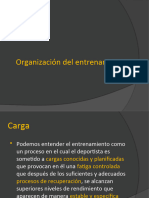 Organizacion Del Entrenamiento
