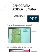 Seminario 1 Organografia Biologia Sanitaria