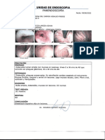 Endoscopia Pag2