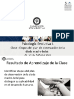 5_PEI_C8_1_Clase 5_Observación díada