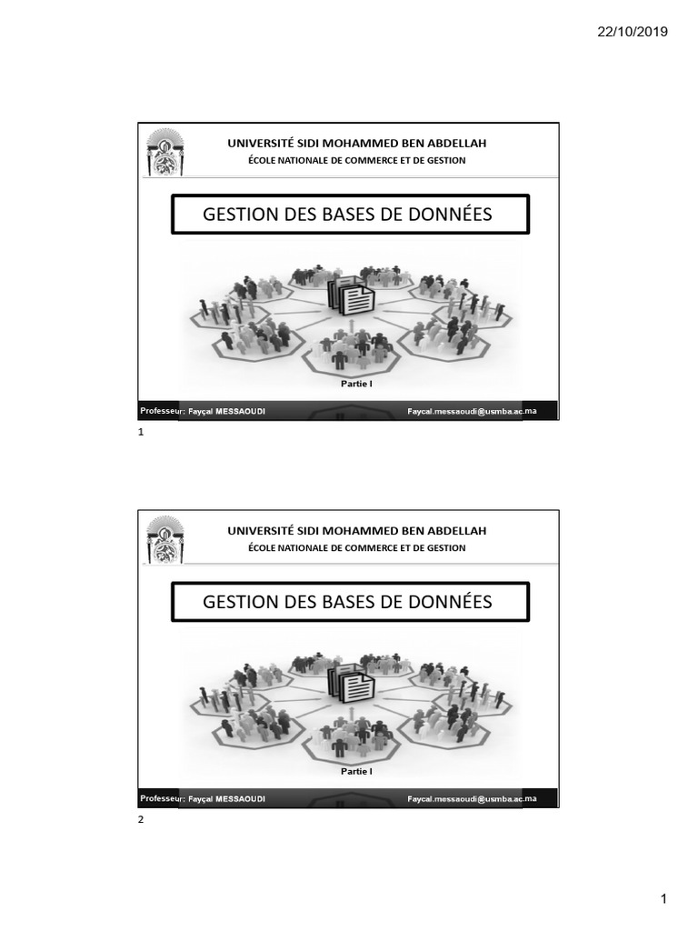 Gestion des Bases de Données par Messaoudi | PDF | Modèle mathématique ...