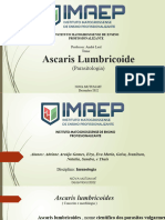 Slide Ascaris Lumbricoide