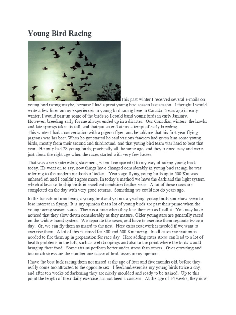 Young Bird Racing Tips Canada | PDF | Birds