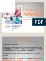 Libro Nanda 2021