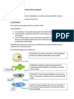 Los Seres Vivos Mas Sencillos Tema 7 Naturales