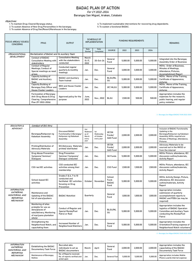Badac plan 2022 2024 pdf