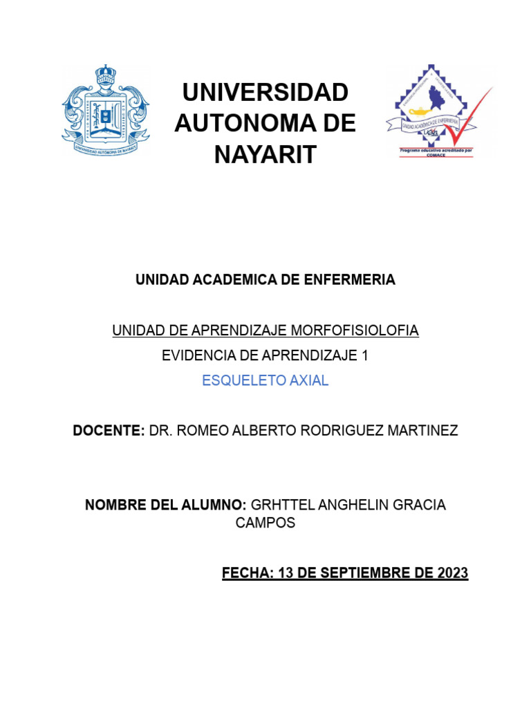 Esqueleto Axial 1 Pdf Cráneo Sistema Esquelético