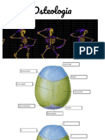 Osteologia JPG