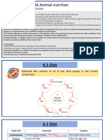 Unit 6 Animal Nutrition