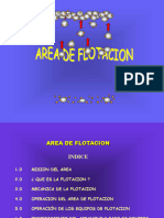 Flotacion Metalurgia I