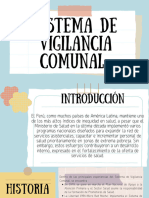 SISTEMA DE VIGILANCIA COMUNAl