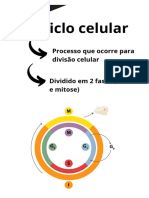 Ciclo Celular - 20230904 - 125424 - 0000