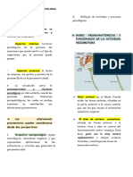 Psicopatologia de La Psicomotricidad