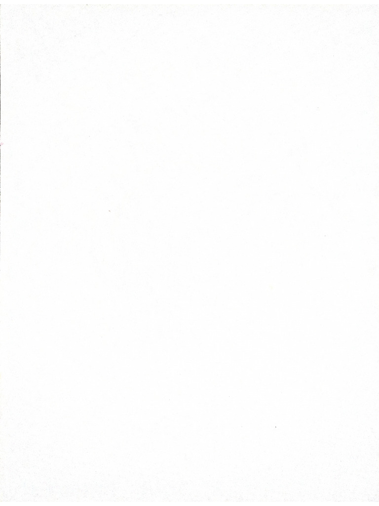 Blank page pdf