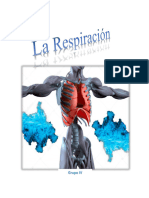 Tecnicas de Locución Grupo 4 La Respiración