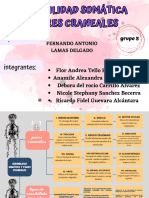 Pares Craneales y Tipos de Sensibilidad Somantica