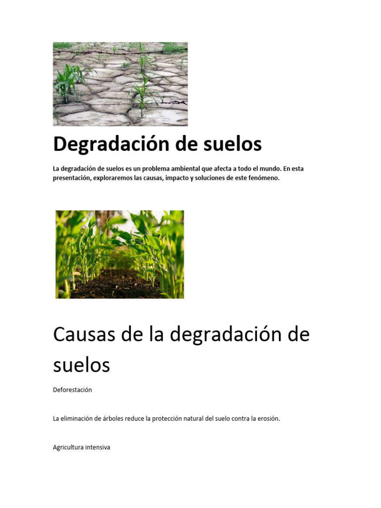 Causas e Impacto de la Degradación del Suelo | PDF