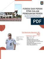 3.fungsi Dan Peran PPNS Dalam Penegakan Perda