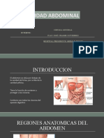 Anatomia - Abdominal y Tipos de Insiciones