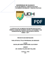 Universidad de Huanuco: Dr. Chamolí Falcón Andy Williams