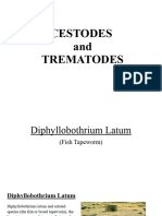 Cestodes & Trematodes